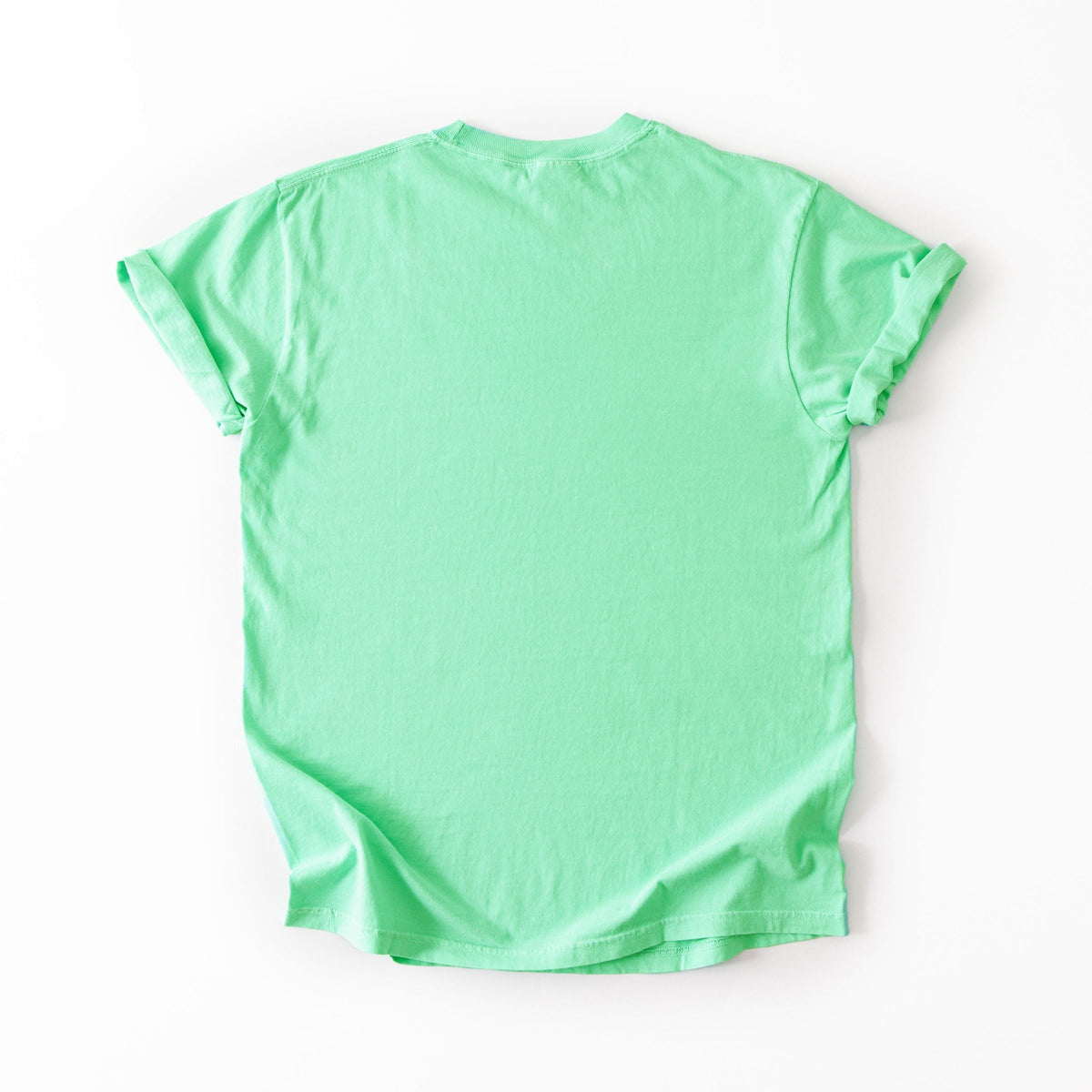 School Icons Stick Figures - Women's Garment Dyed Graphic T-Shirt