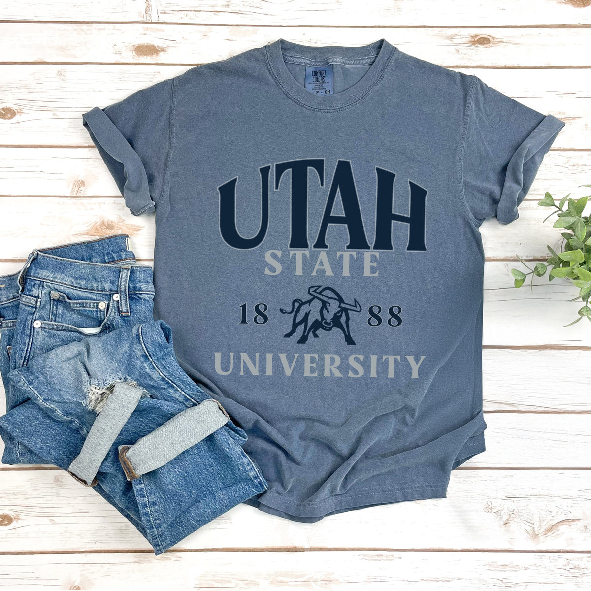 Licensed Utah State 1888 - Women's Garment Dyed Graphic T-Shirt