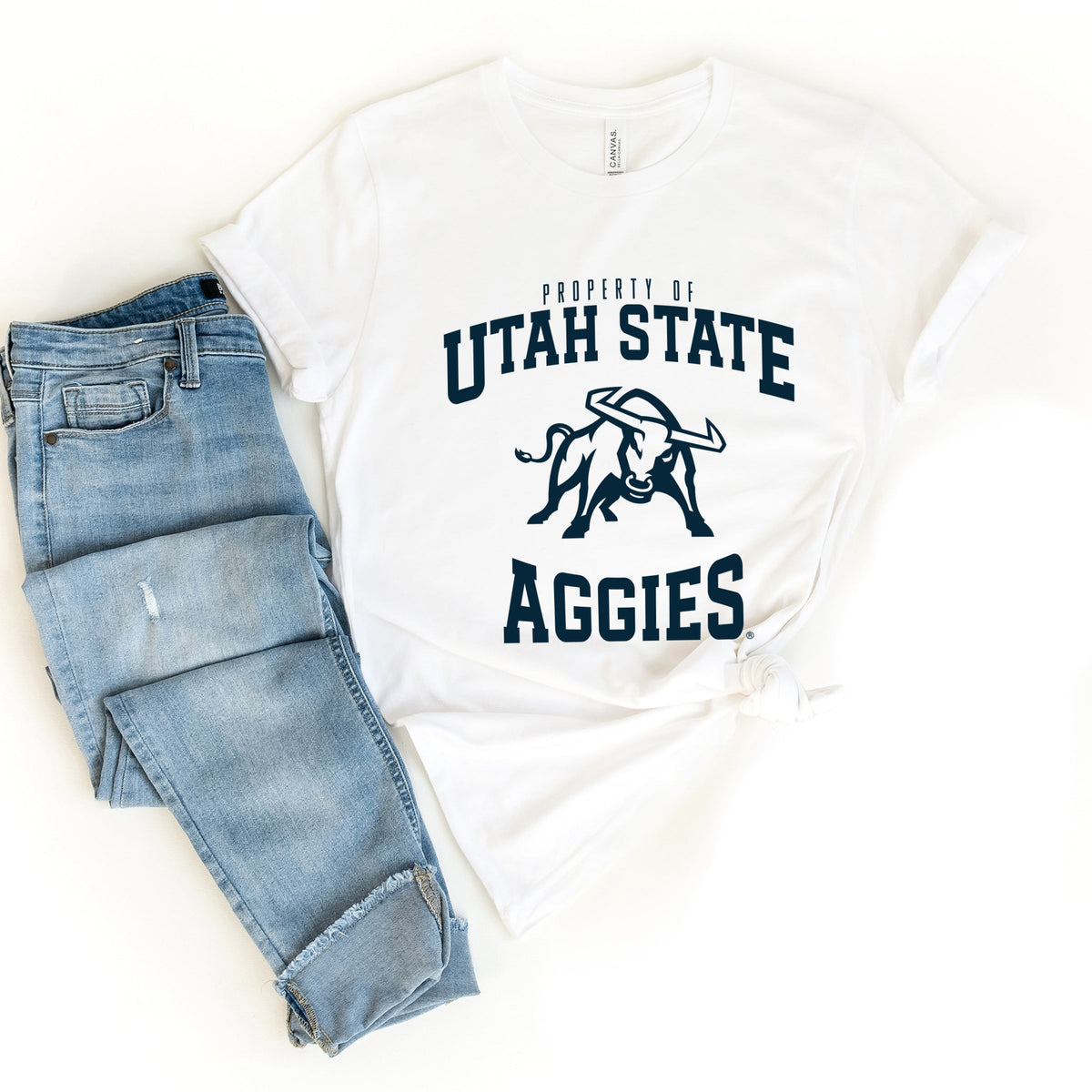 Licensed Property of Utah State - Women's Short Sleeve Graphic T-Shirt