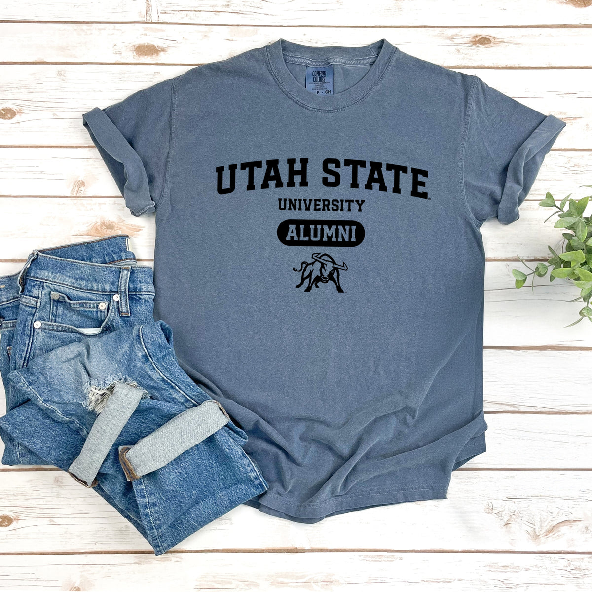 Licensed Utah State Alumni Bull - Women's Garment Dyed Graphic T-Shirt