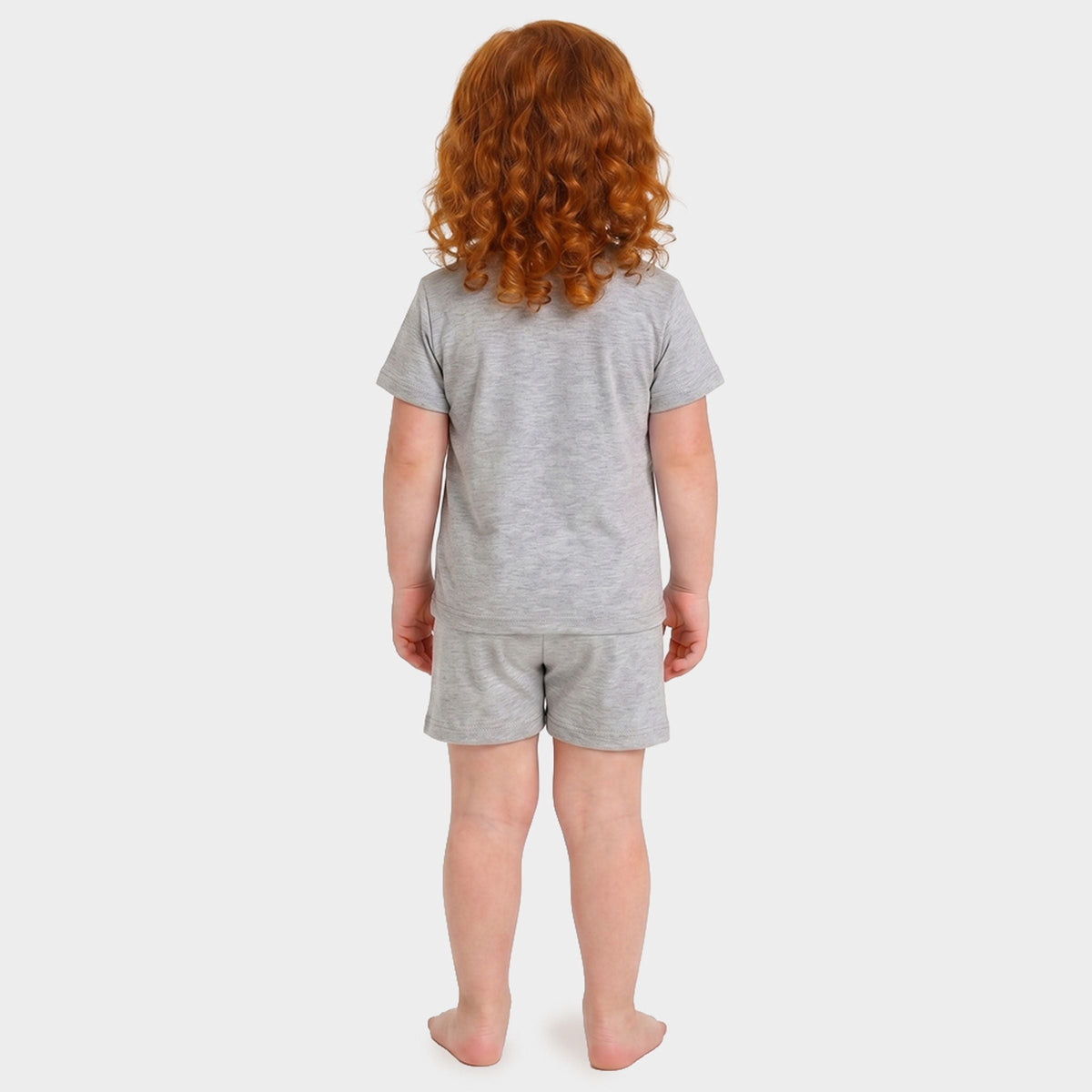 America Flamingos Star - Toddler Crew Shorts Set