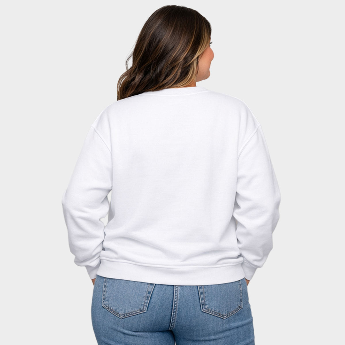Dachshund Through The Snow - Women's Plus Sweatshirt
