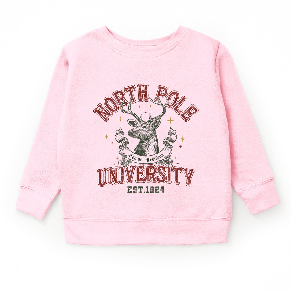 North Pole University Reindeer Stars - Youth Graphic Sweatshirt