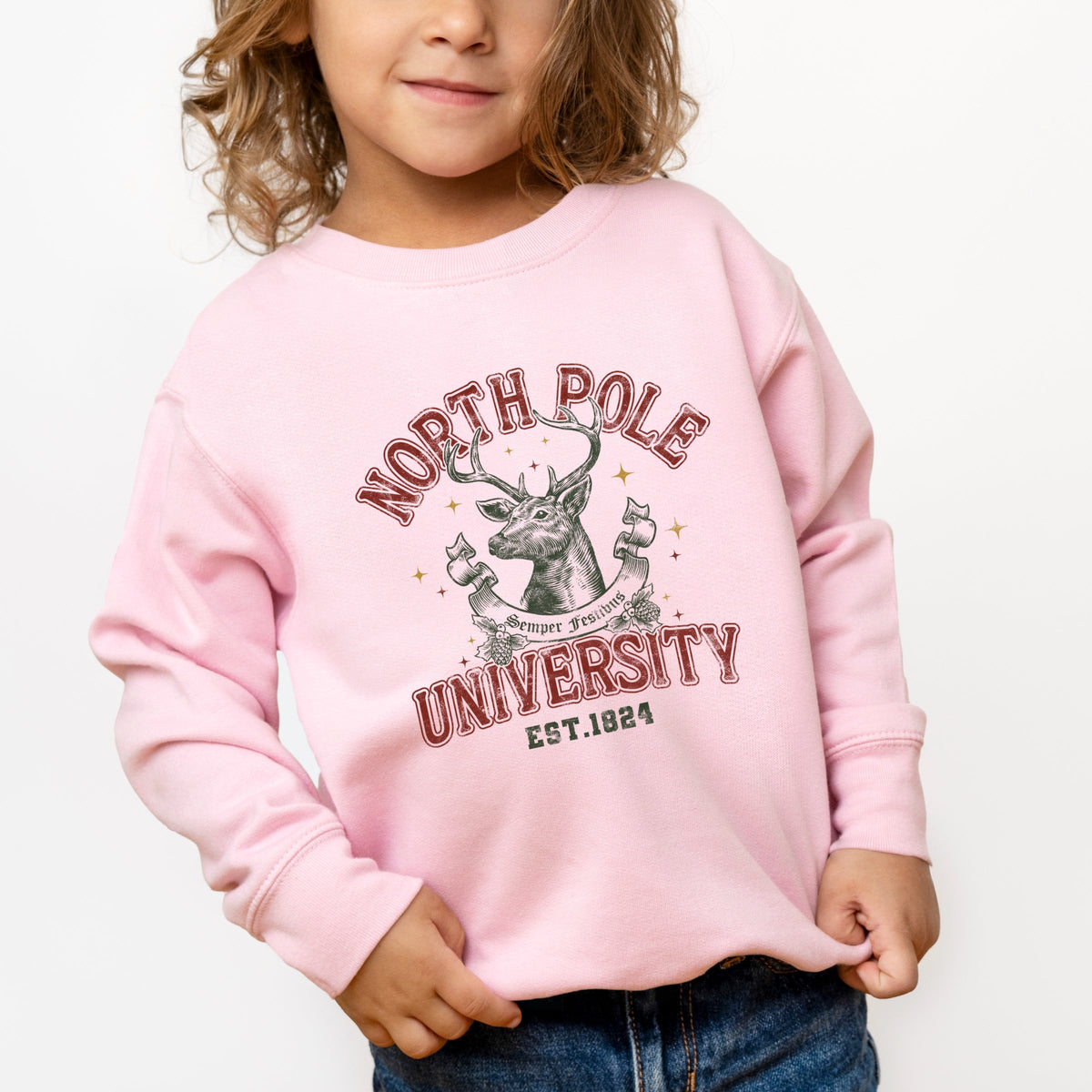 North Pole University Reindeer Stars - Toddler Graphic Sweatshirt
