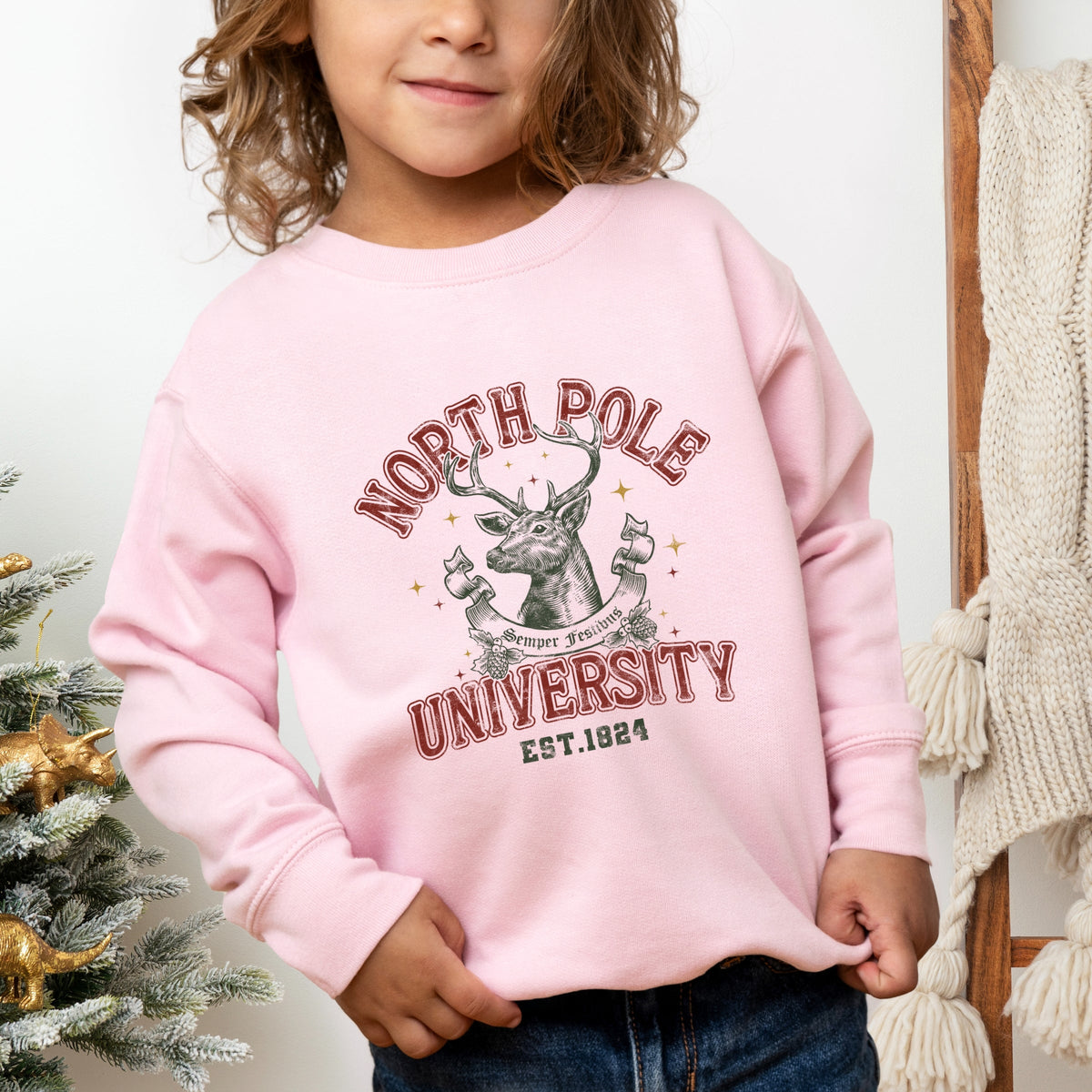 North Pole University Reindeer Stars - Toddler Graphic Sweatshirt